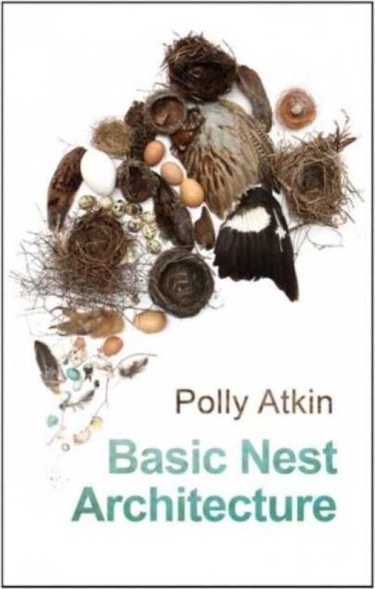 Basic Nest Architecture av Polly Atkin