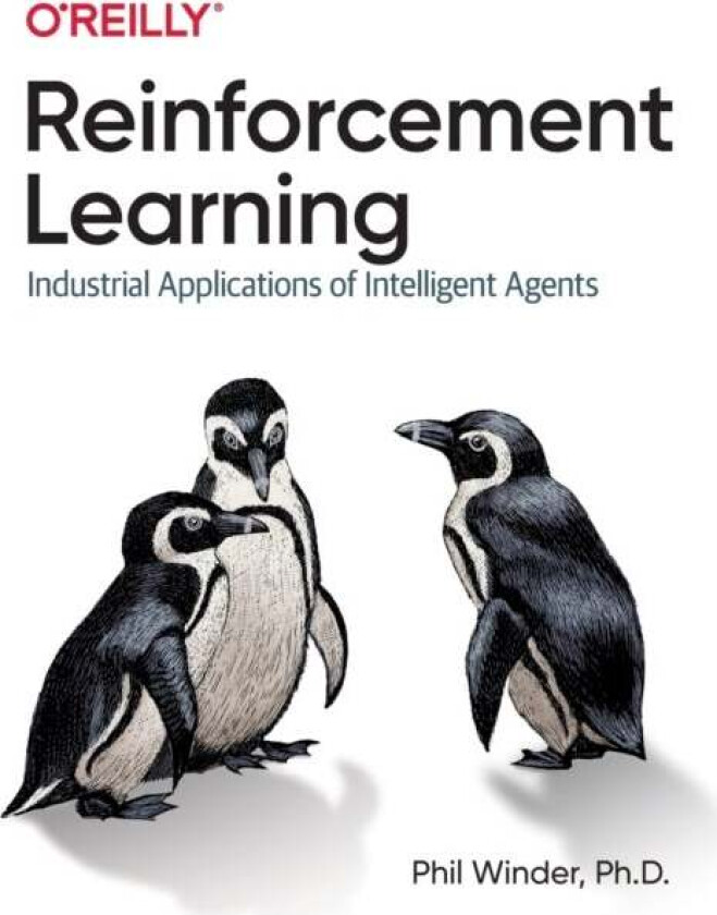 Reinforcement Learning av Phil Winder Ph.D.