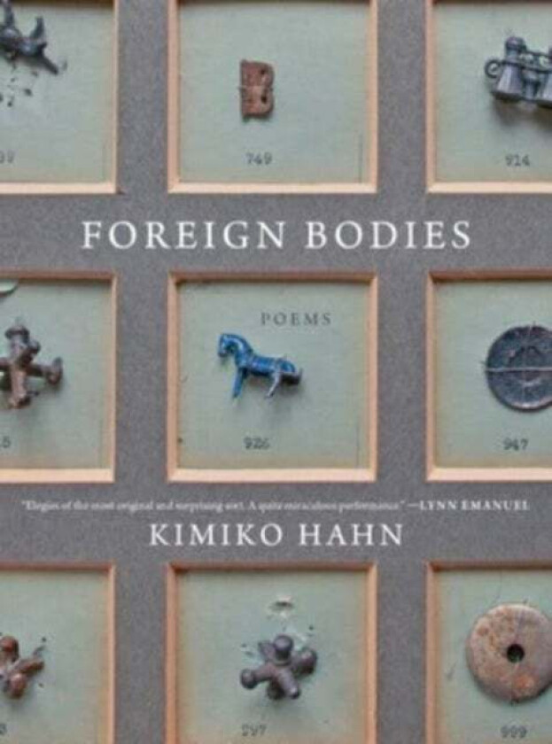 Foreign Bodies av Kimiko (Queens College City University of New York) Hahn