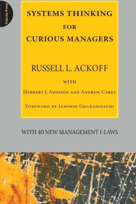 Systems Thinking for Curious Managers av Russell L. Ackoff