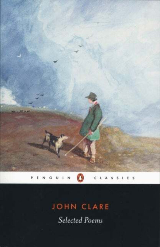 Selected Poems av John Clare