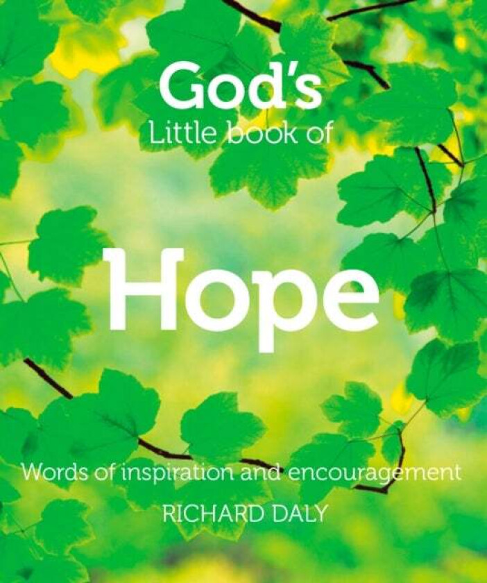 God's Little Book of Hope av Richard Daly