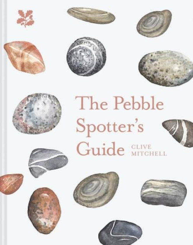 The Pebble Spotter's Guide av Clive Mitchell, National Trust Books