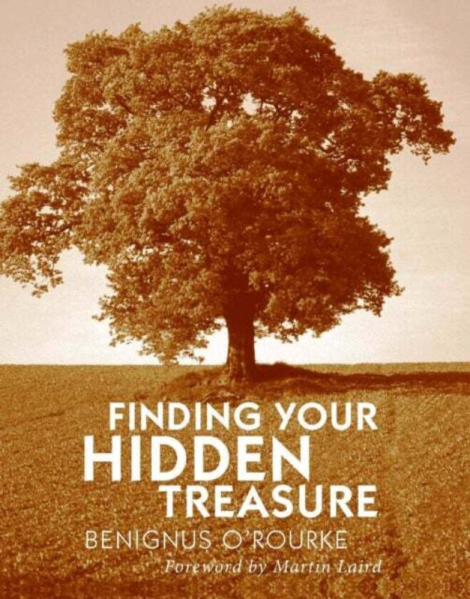 Finding Your Hidden Treasure av Benignus O'Rourke