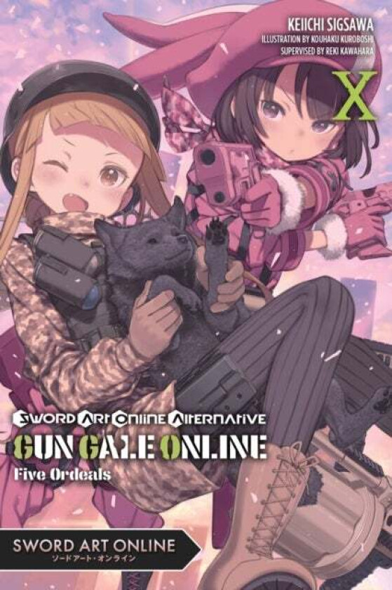 Sword Art Online Alternative Gun Gale Online, Vol. 10 (light novel) av Reki Kawahara, Keiichi Sigsawa