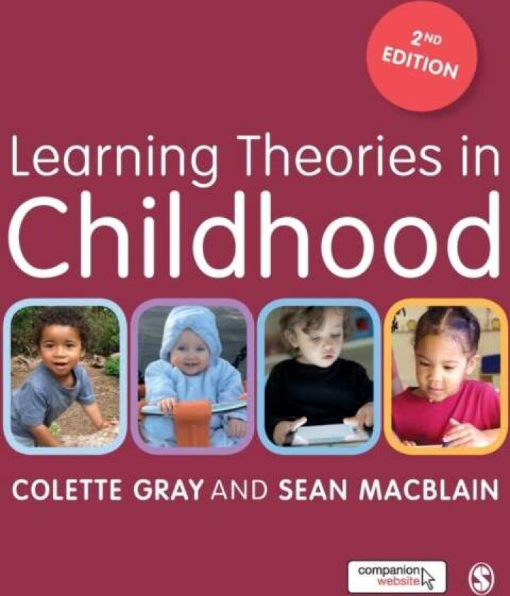 Learning Theories in Childhood av Colette Gray, Sean MacBlain