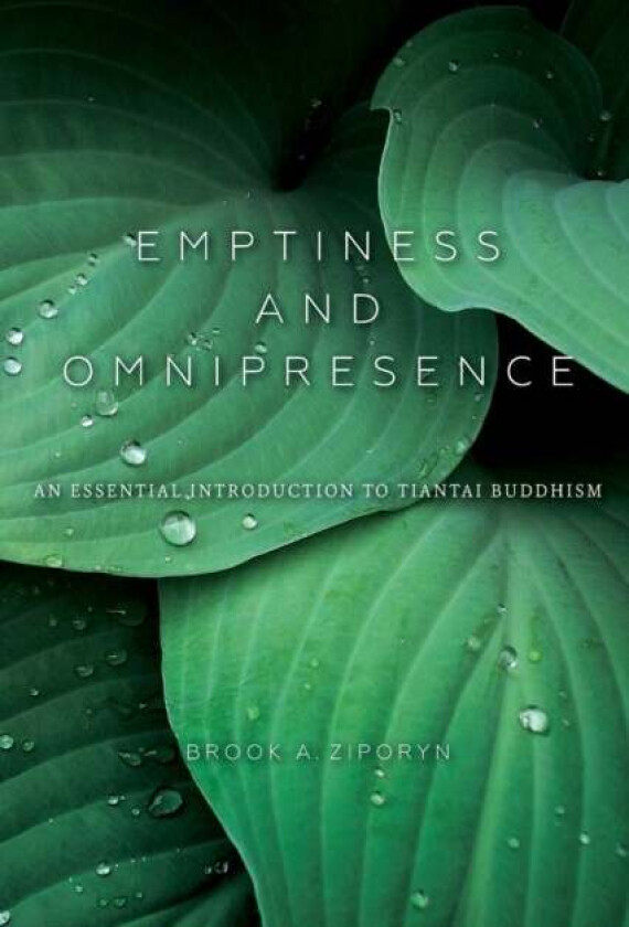 Emptiness and Omnipresence av Brook A. Ziporyn