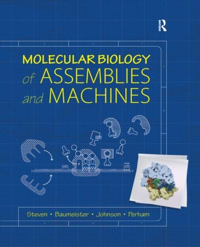 Molecular Biology of Assemblies and Machines av Alasdair Steven, Wolfgang Baumeister, Louise N. (University of Oxford Oxford UK University of Oxford O