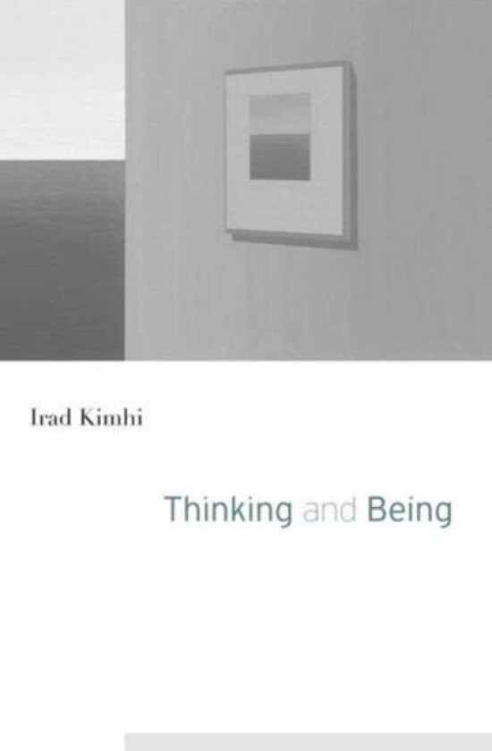 Thinking and Being av Irad Kimhi