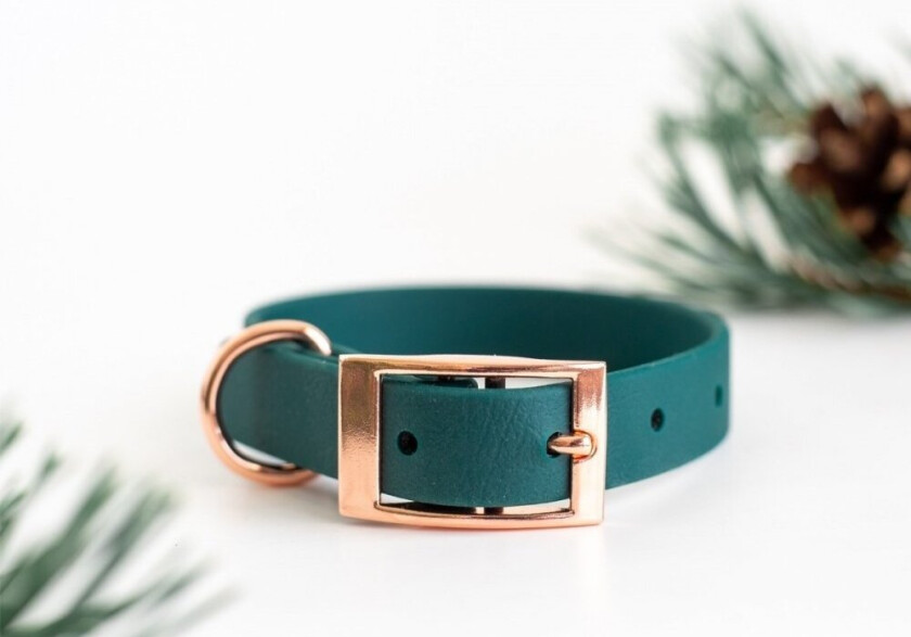 Tyylivoitto Classy Hundehalsbånd Grønn (XS)