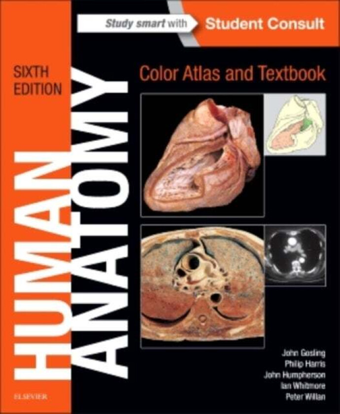 Human Anatomy, Color Atlas and Textbook av John A. (Professor of Anatomy Stanford University USA) Gosling, Philip F. MD MB ChB MSc (Emeritus Professor