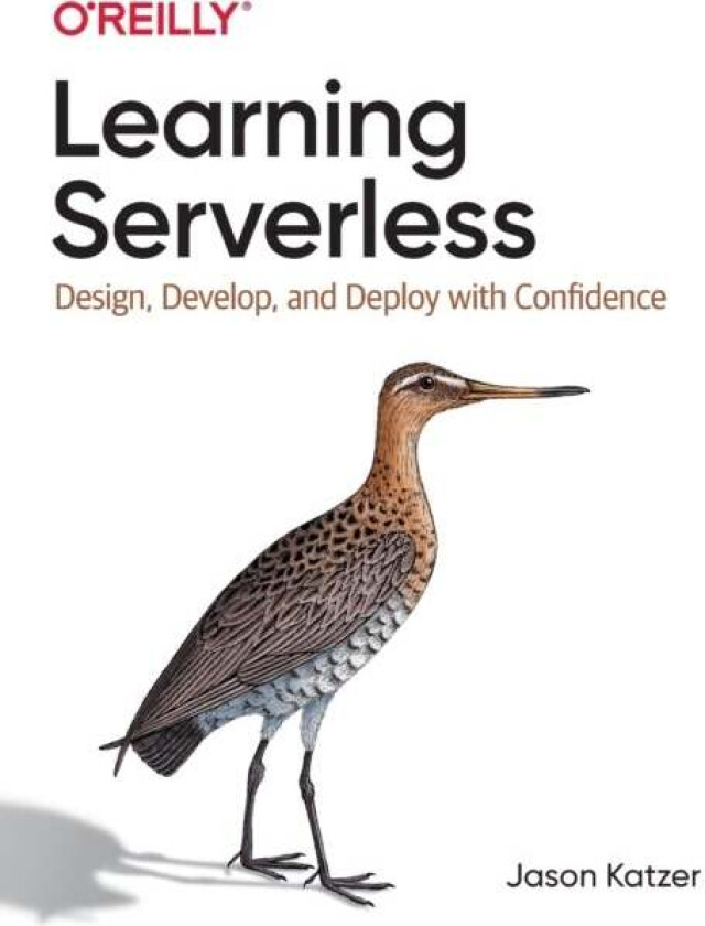 Learning Serverless av Jason Katzer