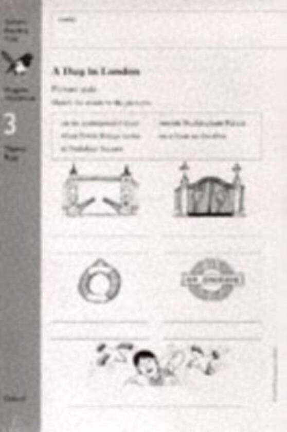 Oxford Reading Tree: Level 8: Workbooks: Workbook 3: A Day in London and Victorian Adventure (Pack o av Thelma Page