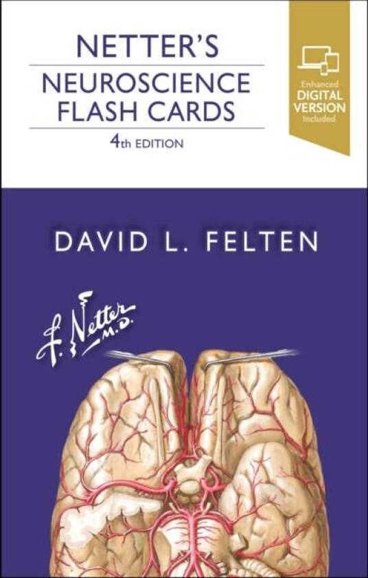 Netter's Neuroscience Flash Cards av David L. (Associate Dean of Clinical Sciences University of Medicine and Health New York New York) Felten