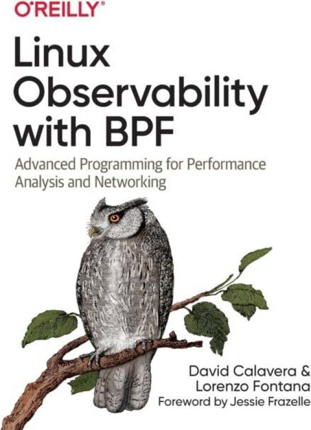 Linux Observability with BPF av David Calavera, Lorenzo Fontana