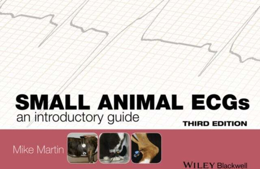 Small Animal ECGs av Mike (The Veterinary Cardiorespiratory Centre UK) Martin
