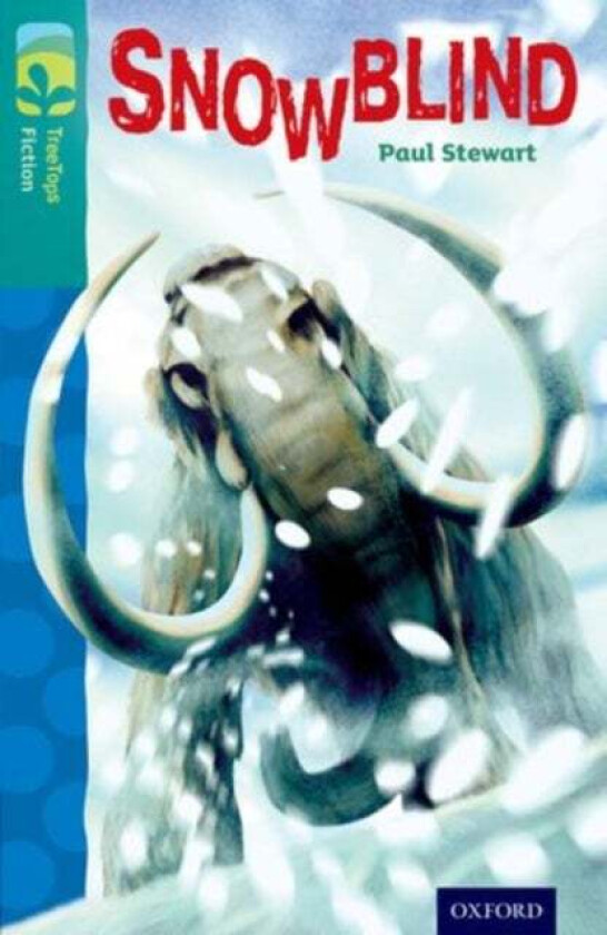 Oxford Reading Tree TreeTops Fiction: Level 16 More Pack A: Snowblind av Paul Stewart