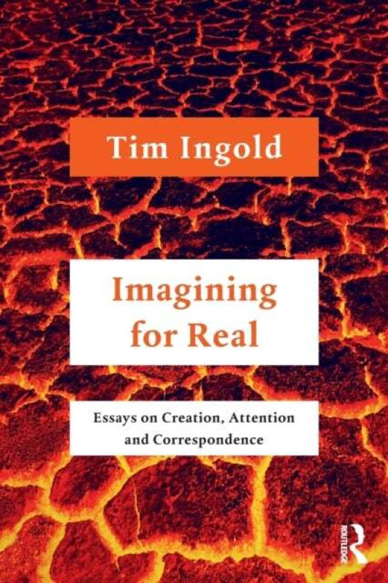 Imagining for Real av Tim Ingold