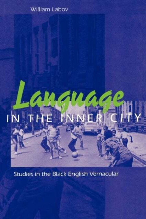Language in the Inner City av William Labov