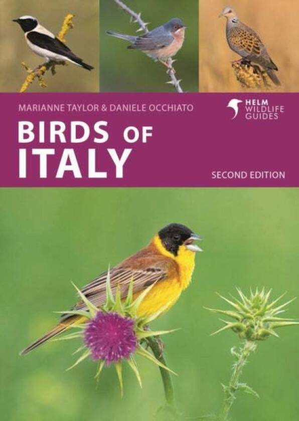 Birds of Italy av Daniele Occhiato, Marianne Taylor