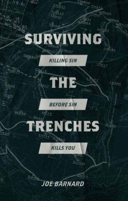 Surviving the Trenches av Joe Barnard