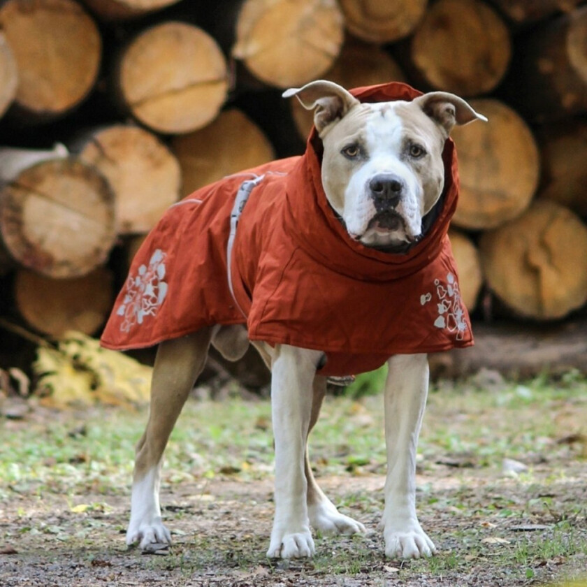 Hurtta Extreme Warmer ECO Hundejakke Rødbrun (30 cm)