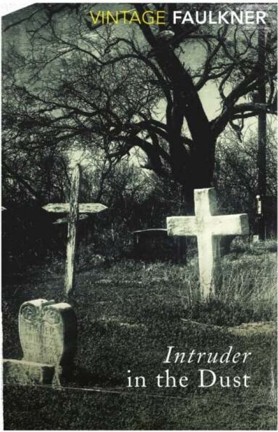 Intruder in the Dust av William Faulkner