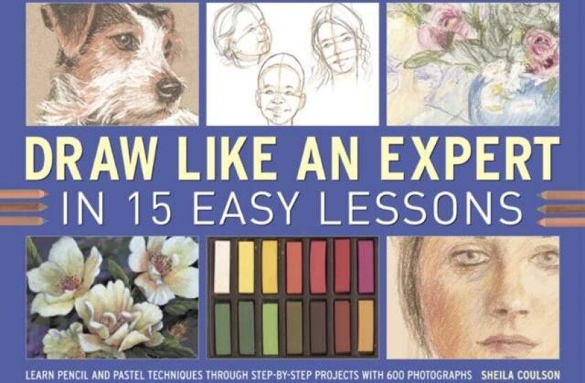 Draw Like an Expert in 15 Easy Lessons av Sheila Coulson