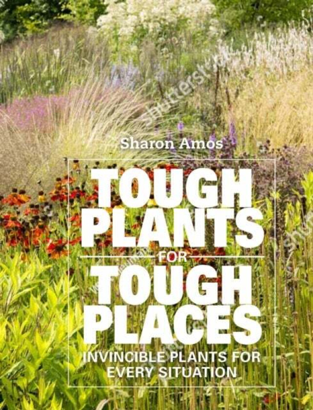 Tough Plants for Tough Places av Sharon Amos