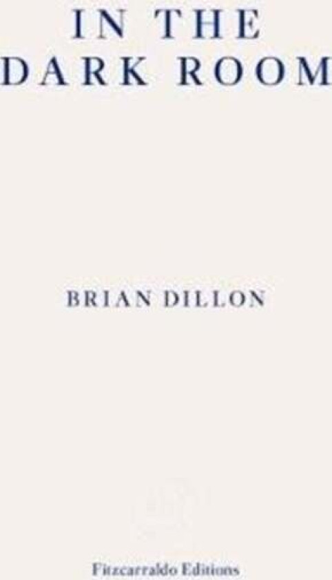 In the Dark Room av Brian Dillon