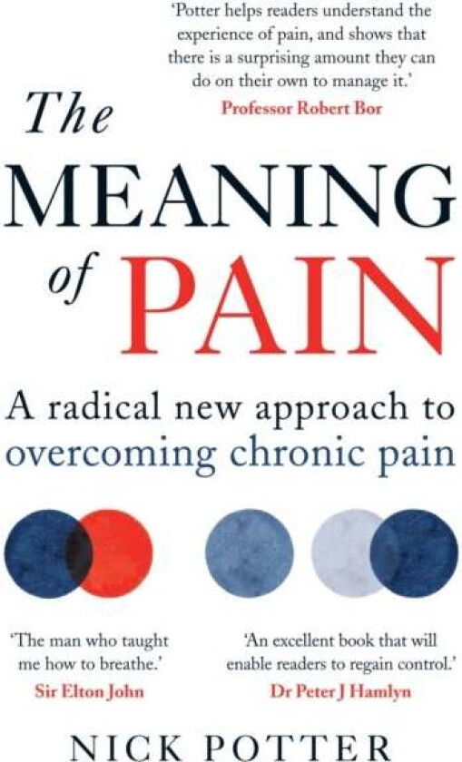 The Meaning of Pain av Nick Potter