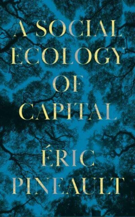 A Social Ecology of Capital av Eric (Universite du Quebec a Montreal) Pineault