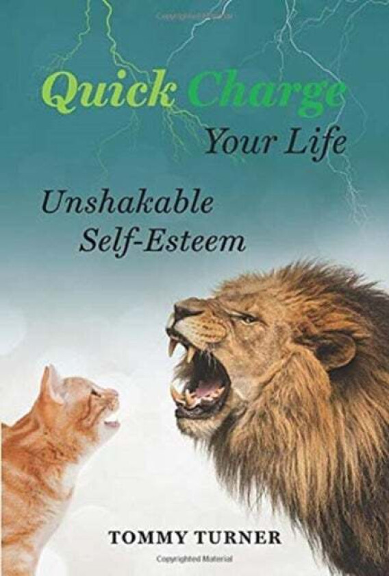 Quick Charge Your Life av Tommy Turner
