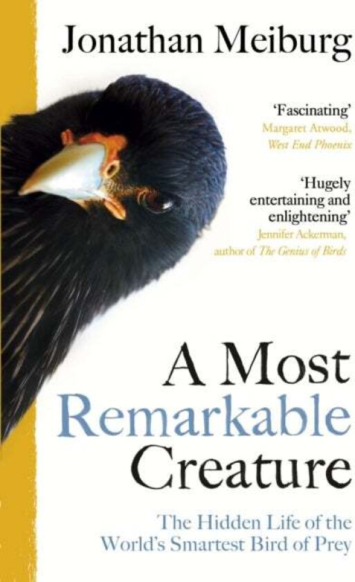 A Most Remarkable Creature av Jonathan Meiburg