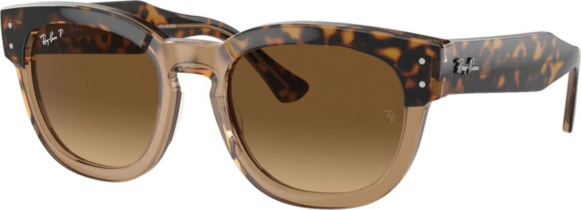 Havana On Transparent, solbriller, dame Havana On Transparen
