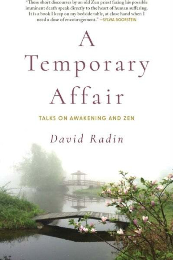 A Temporary Affair av David Radin