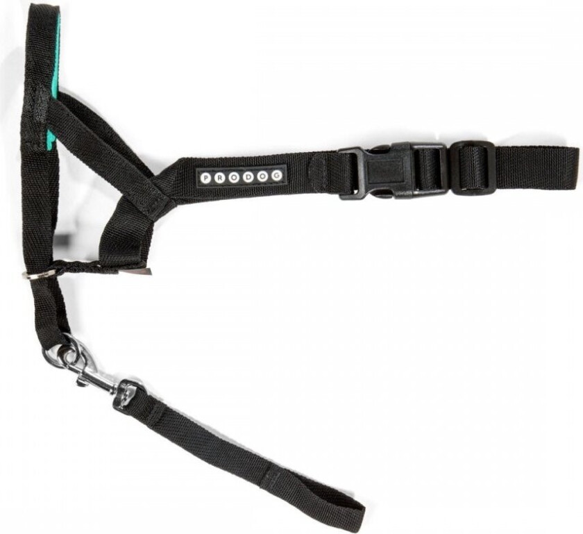 Pro Dog Dressursele Svart (3)