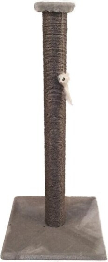 Klorestamme Sally Grå