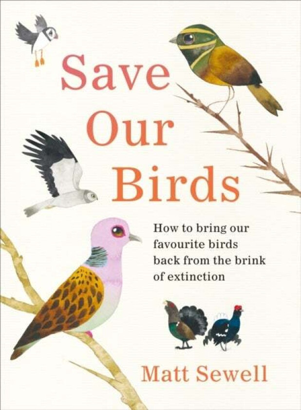 Save Our Birds av Matt Sewell