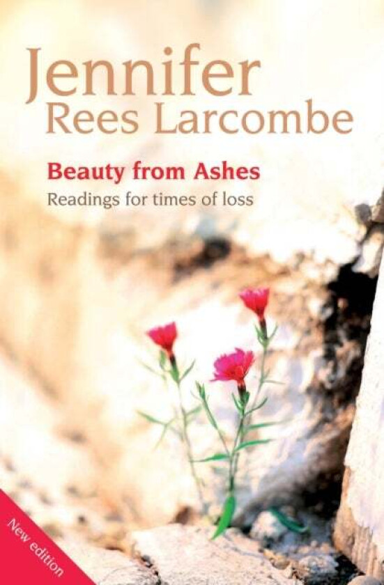 Beauty from Ashes av Jennifer Rees Larcombe