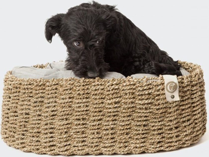 Cloud7 Lazy Hundeseng Flettet/Grå (45x35x17 cm)