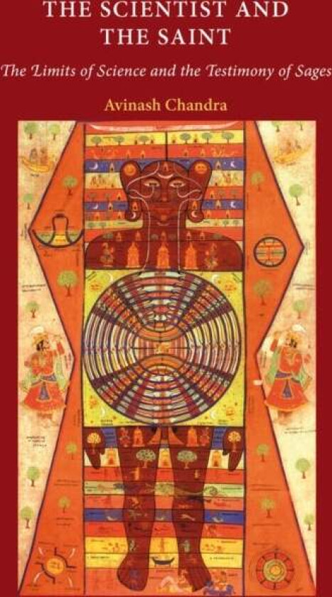 The Scientist and the Saint av Avinash Chandra