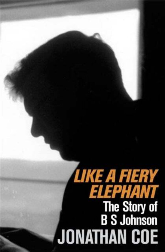 Like a Fiery Elephant av Jonathan Coe