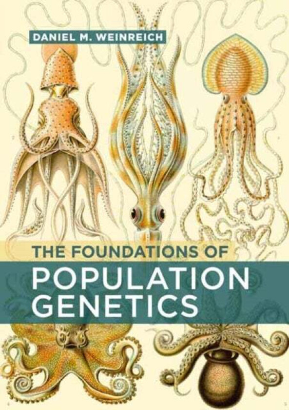 The Foundations of Population Genetics av Daniel M. Weinreich