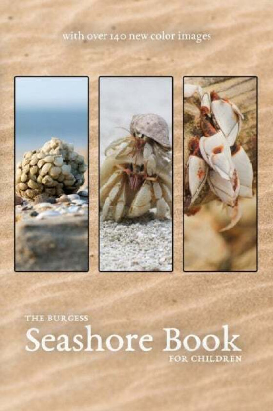 The Burgess Seashore Book with new color images av Thornton Burgess