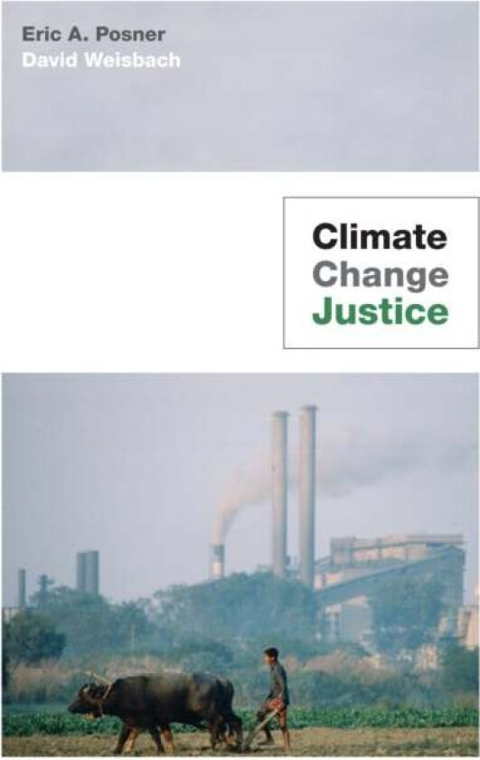 Climate Change Justice av Eric A. Posner, David Weisbach