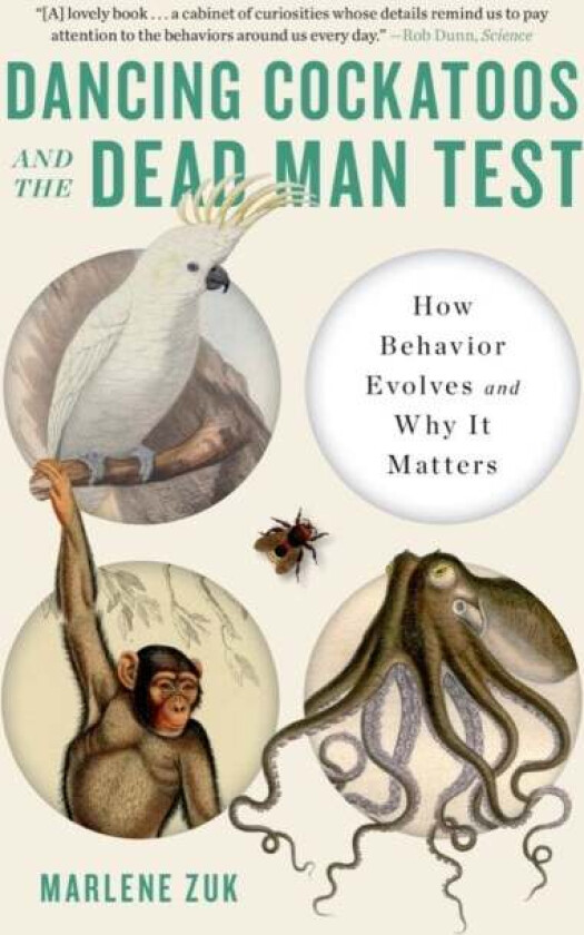 Dancing Cockatoos And The Dead Man Test Av Marlene (University Of Minnesota) Zuk