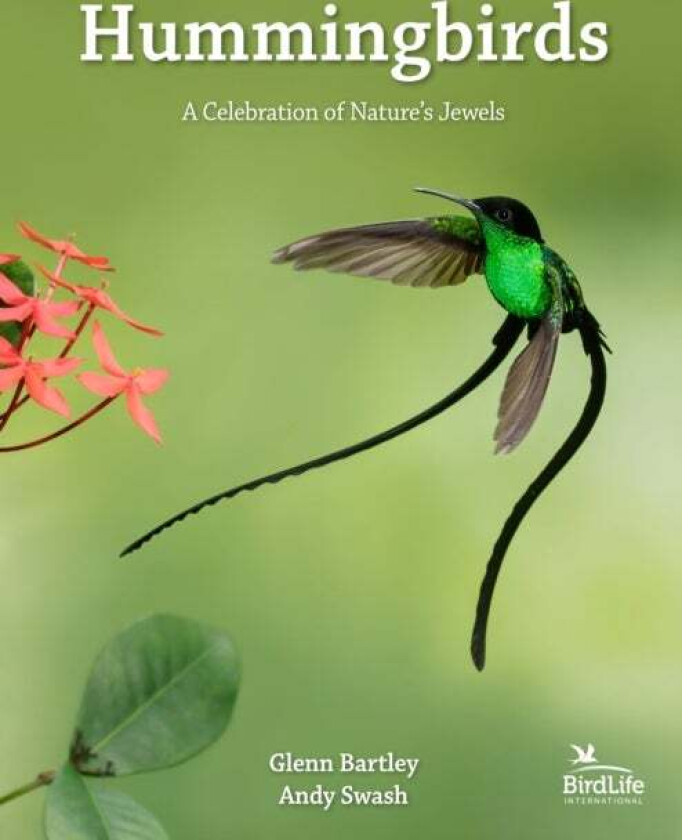 Hummingbirds av Glenn Bartley, Andy Swash