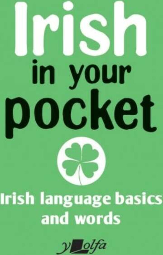 Irish in Your Pocket av Y. Lolfa
