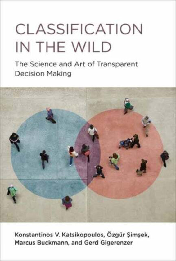 Classification in the Wild av Konstantinos Katsikopoulos, Ozgur Simsek